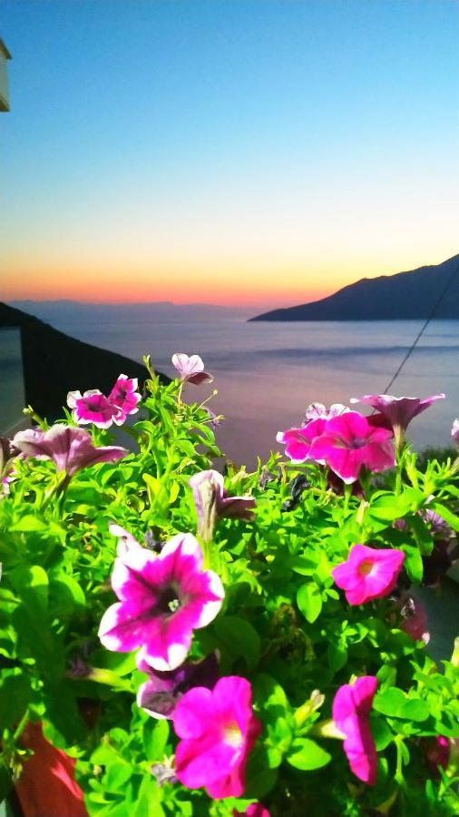 Alkyon Suites Agios Vasilios  Bagian luar foto